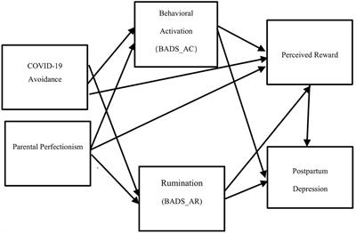 Associations of rumination, behavioral activation, and perceived reward with mothers’ postpartum depression during the COVID-19 pandemic: a cross-sectional study